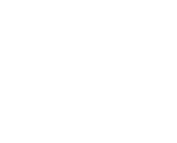 Darrell Doepke Luxury Real Estate Logo