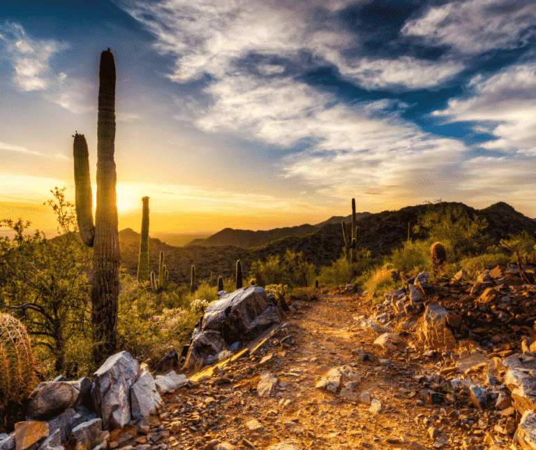 Cave Creek hiking trail at sunset