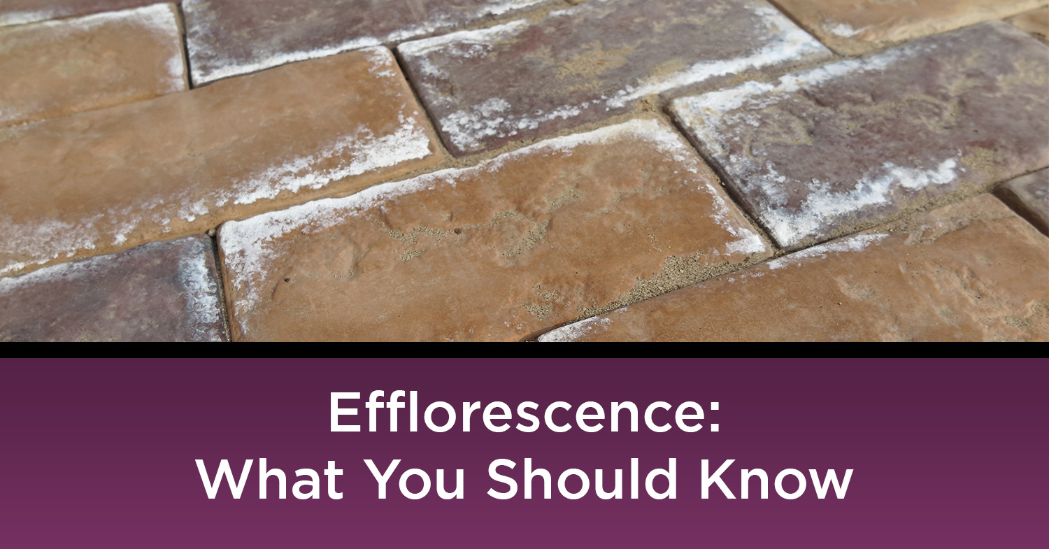 Efflorescence- What You Should Know Concrete pavers with efflorescence on them in Scottsdale, AZ.